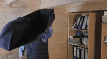 026.gif