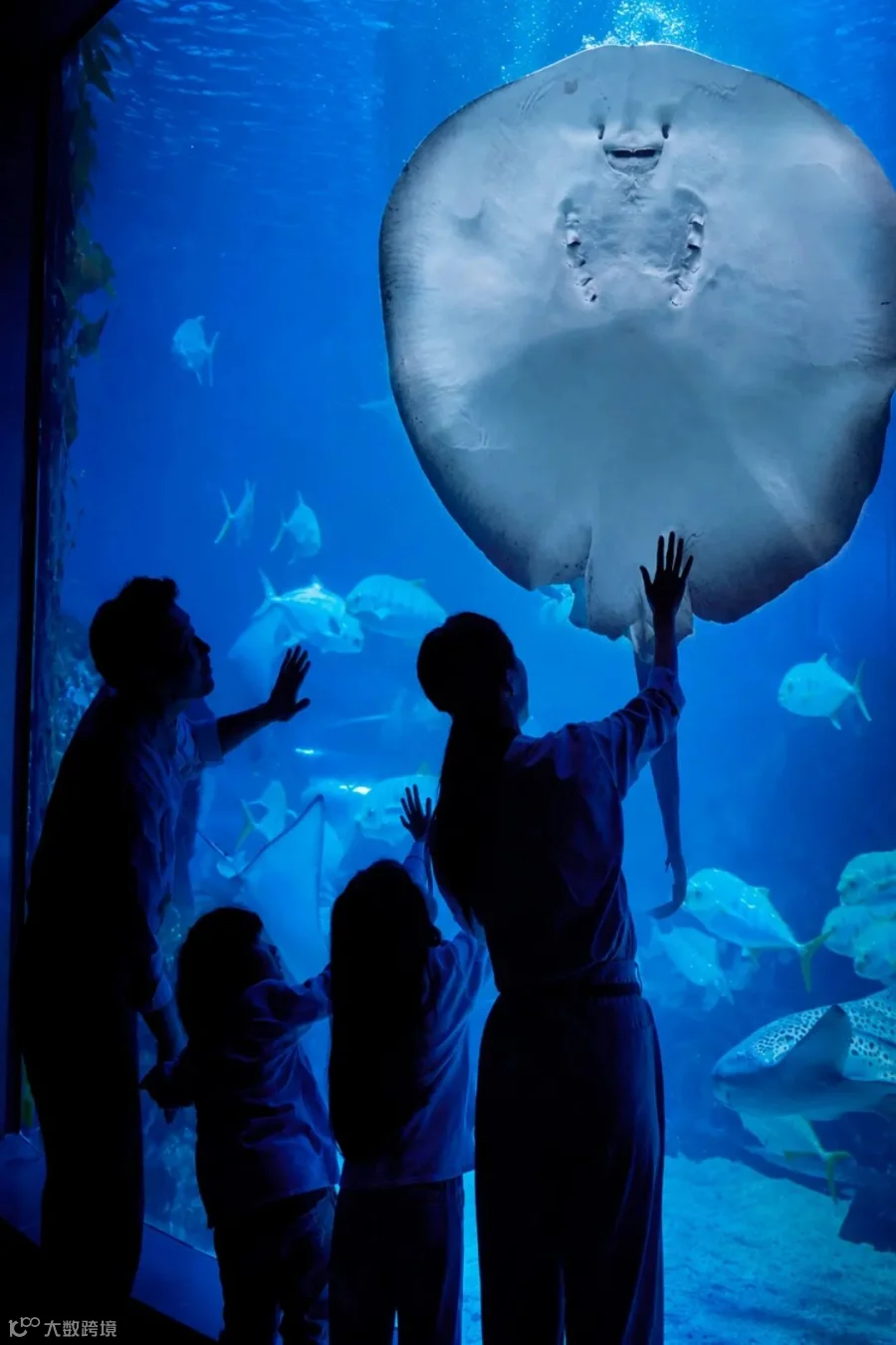 Bluey, Snowstorms & Immersive Worlds: Kids’ Shows Coming to Shanghai