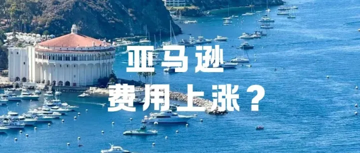 旺季物流费三重上涨？2026亚马逊卖家如何守住利润？