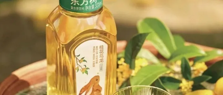 东方树叶限定“桂花乌龙”准时送达，秋天，是“桂花”的主战场