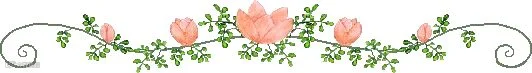 小清新粉丝花朵藤蔓分割线