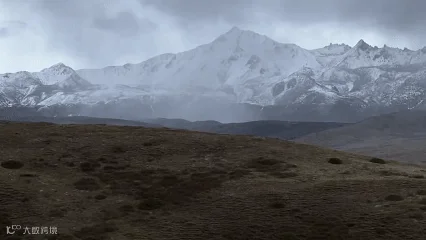 免责声明
