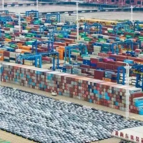 业务体量全国第一！宁波海关“先查验后装运”模式，助力中国商品“出海”