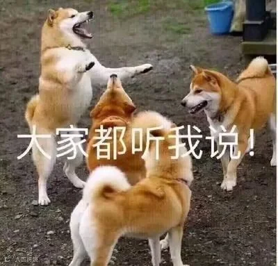 4675518746d2f7b7c7513a19e8c7916d_t01874d803346603bb9.jpg