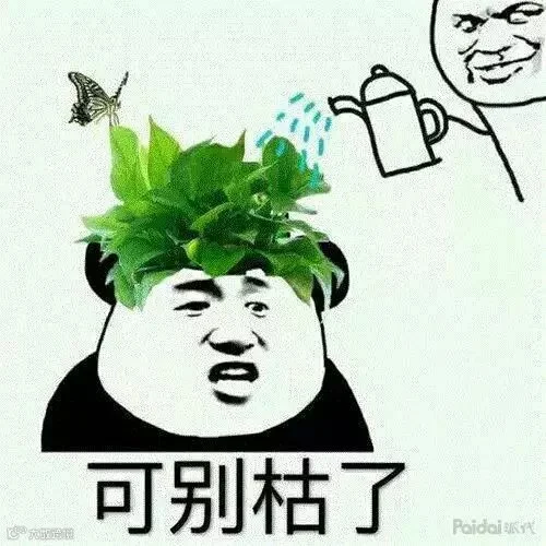 微信图片_20190821093017.jpg