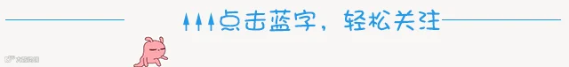 粉兔子动态引导关注