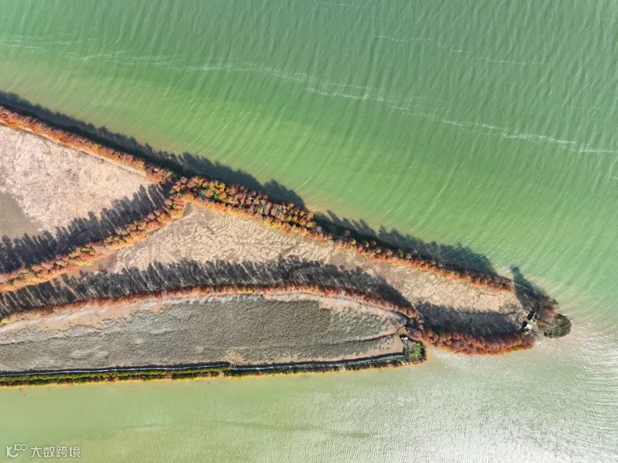 DJI_0586.jpg