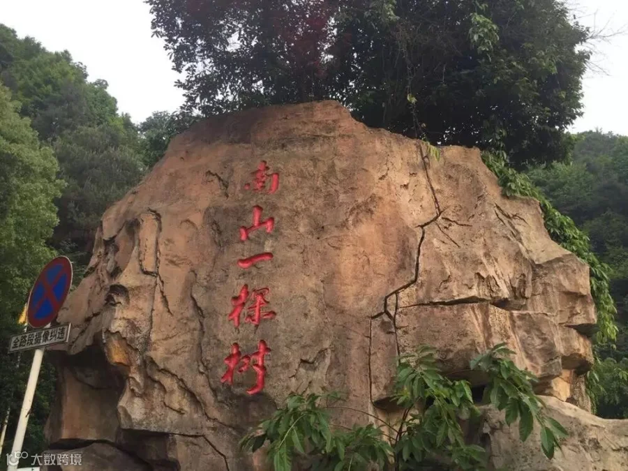 南山一棵树观景平台1.jpg