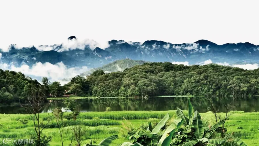 龙塘湖 (1).jpg
