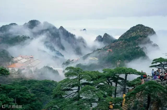 点击查看源网页