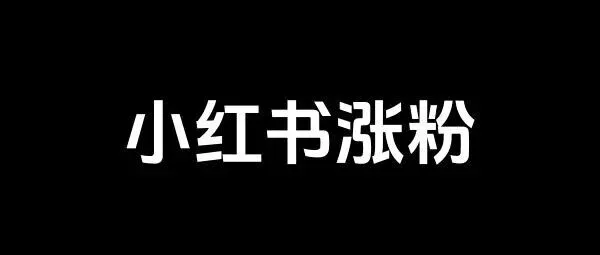 小红书涨粉手册.pdf