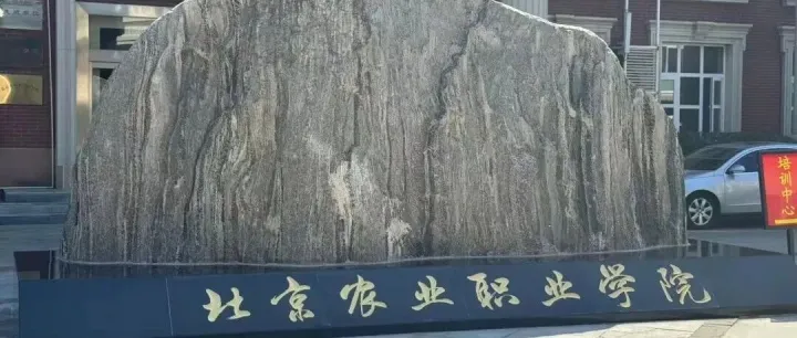 产教融合再深化｜京拍档再赴北京农业职业学院，开展跨境 B2B 选品实战专题培训