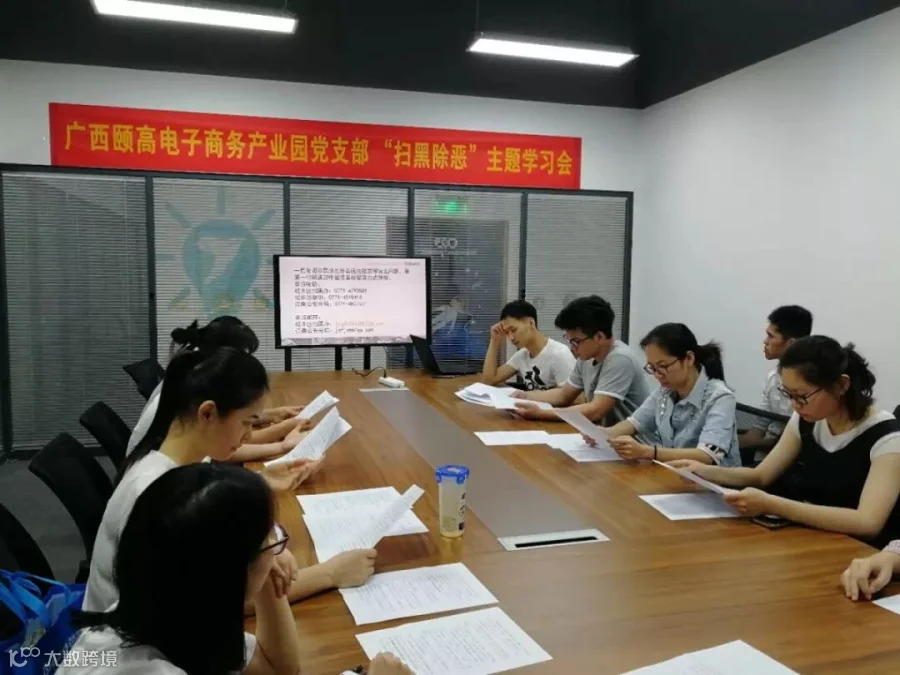 扫黑1.jpg