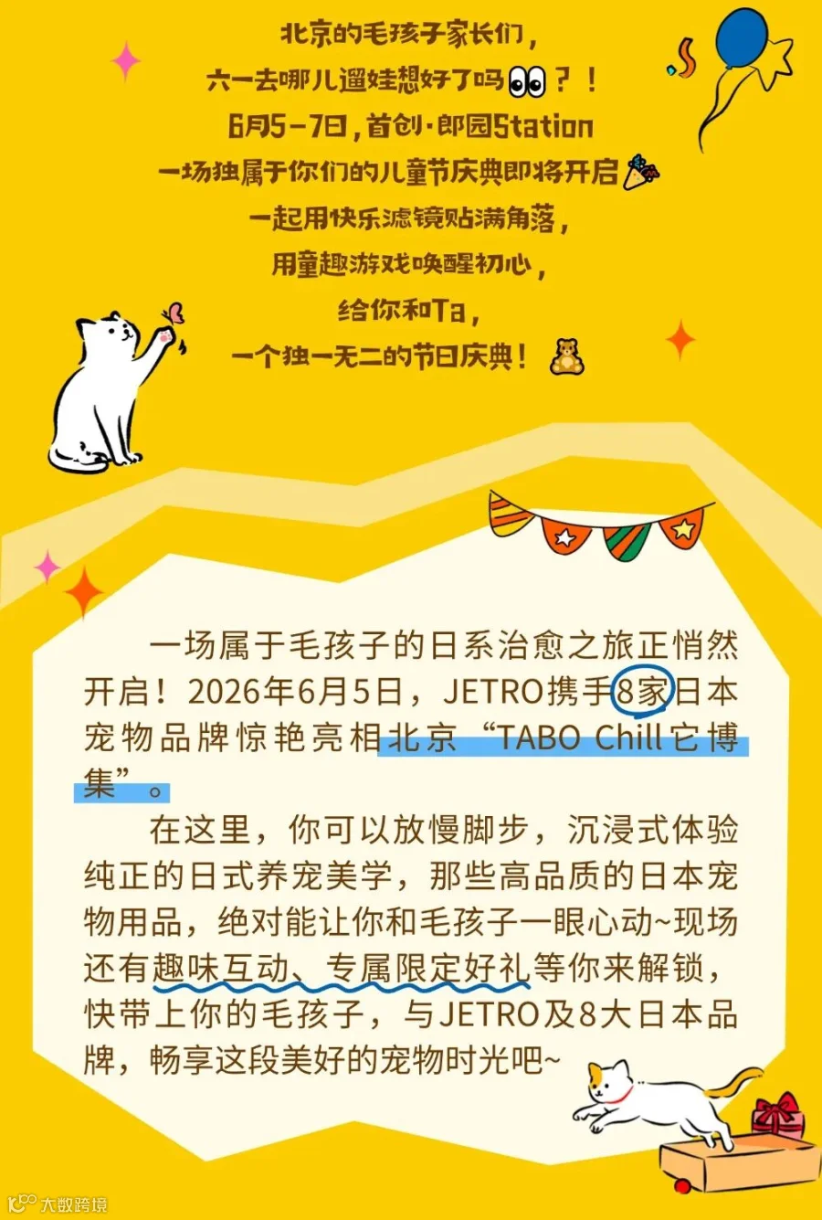它博集宣传图 2