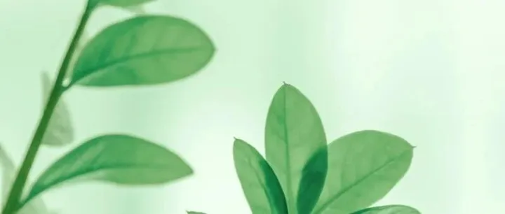 法人身份证过期？能不动就别动，动了就是协议三！