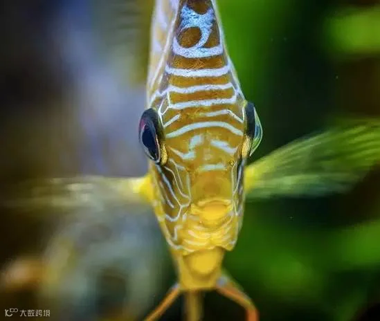 2017_01_20_1484878840_129419.png