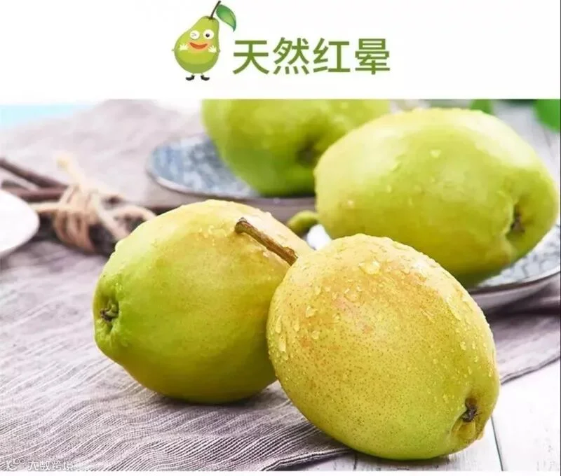 微信图片_20180712143020_副本.jpg