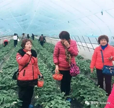 QQ图片20170108092100.jpg