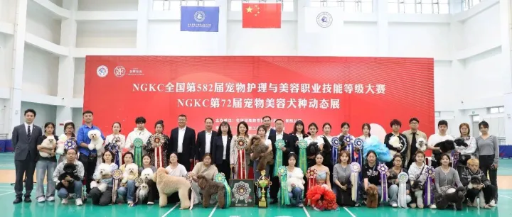 NGKC全国第582届宠物护理与美容职业技能等级大赛和NGKC第72届宠物美容犬种动态展在我院成功举办