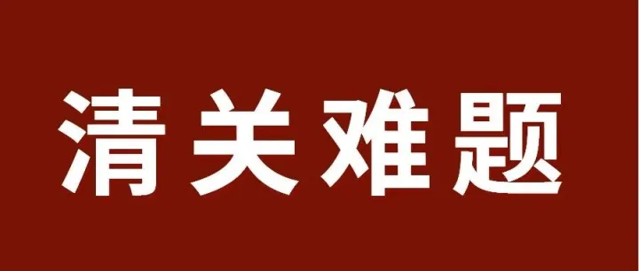 不止解决清关难题：波兰为什么是德国站卖家的合规与运营双优解
