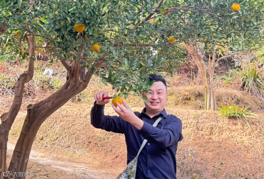 裁剪图片