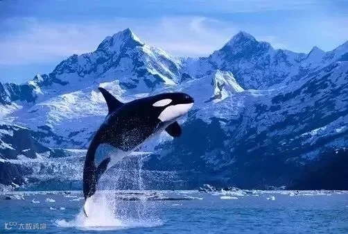 640.webp (2)_副本.jpg