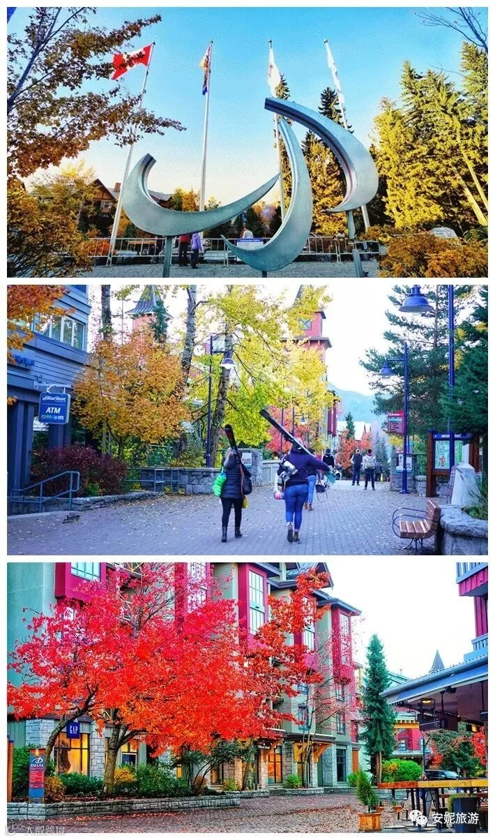 001LCVKDzy7fPf7Gyy84c&690_副本_副本.jpg