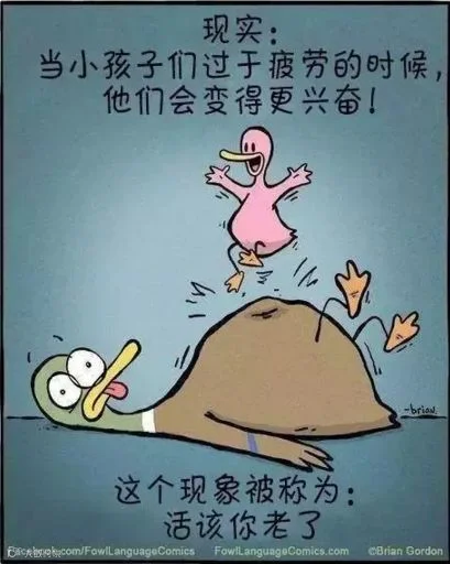 1801226131.png