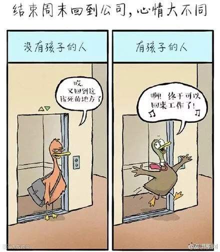 1801227996.jpg
