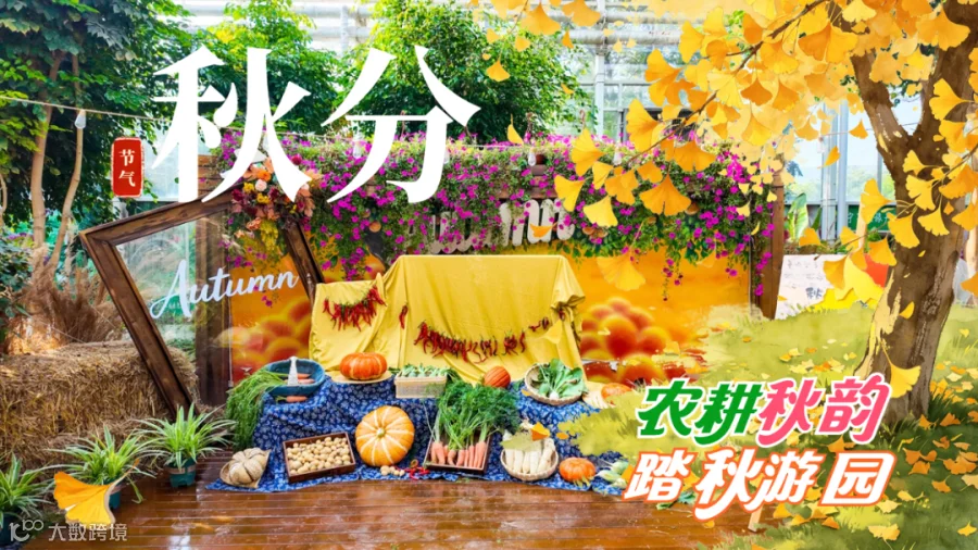 手绘秋分节气大树落叶公众号图文封面.png