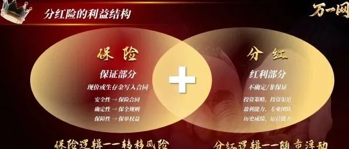 保险课件2026家庭财富风险规划三大保险优势分红险功能介绍