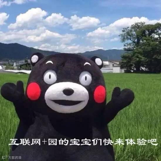 1462846721888692.png