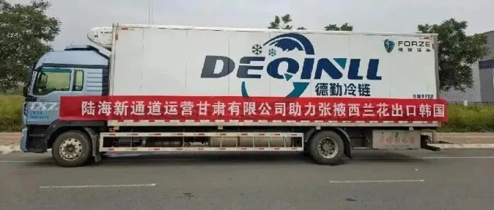 甘肃国际物流集团助力<em>张掖</em>西兰花批量出口韩国