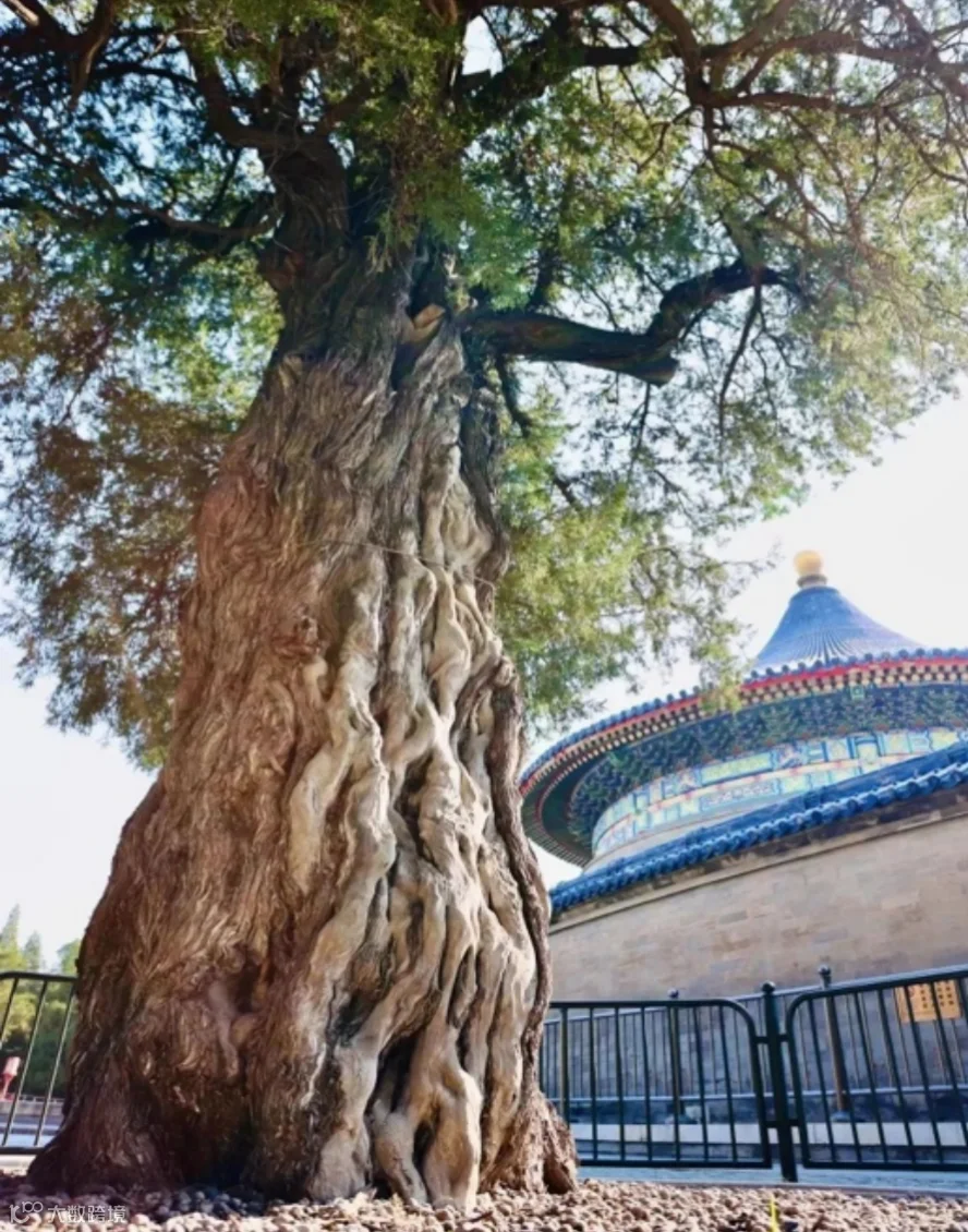 天坛建筑