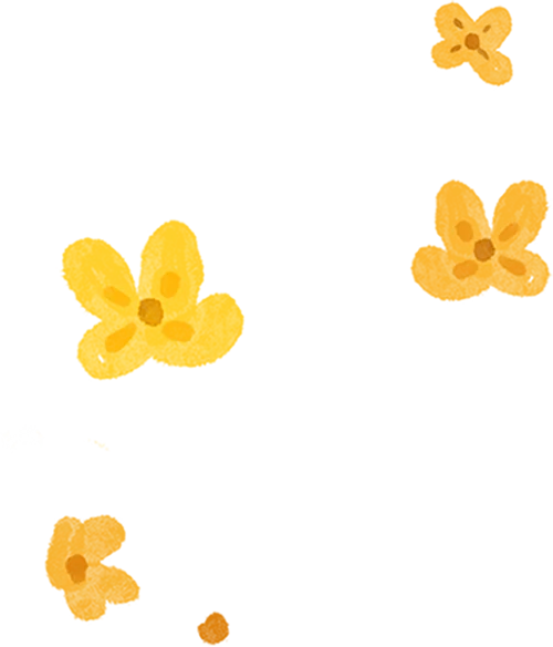 装饰图