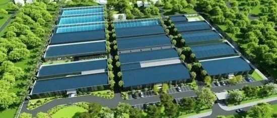 从项目开工到国际盛会，广州南沙国际观赏鱼生态谷加速成型