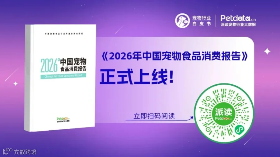 报告封面图