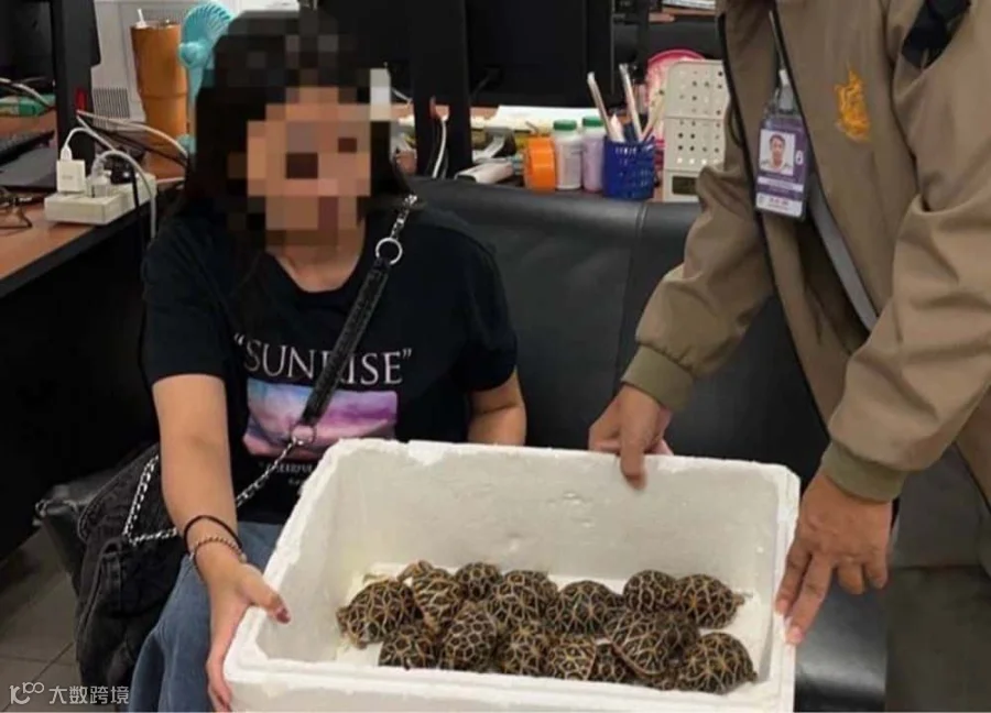 涉嫌多项罪名