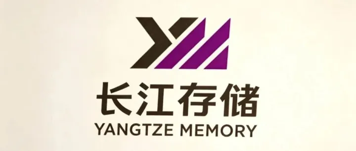 海外维权大捷！长江存储德国专利胜诉，拿下海外禁售禁令