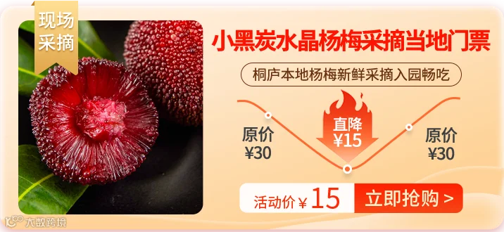 采摘2.png