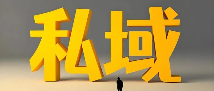 平台流量越来越贵，跨境卖家为什么必须尽快补上私域这门课？