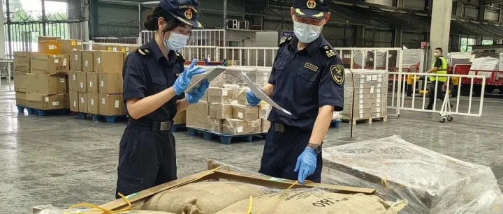 进口成本降低约两成！南美咖啡生豆首次“飞”入四川