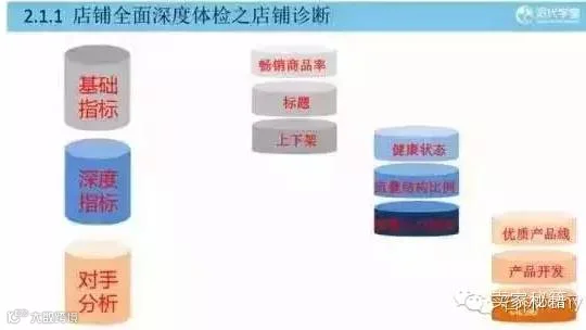 诊断分析
