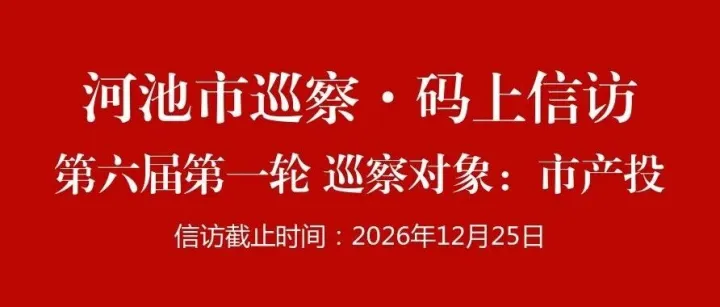 六届<em>河池</em>市委第一轮巡察公告