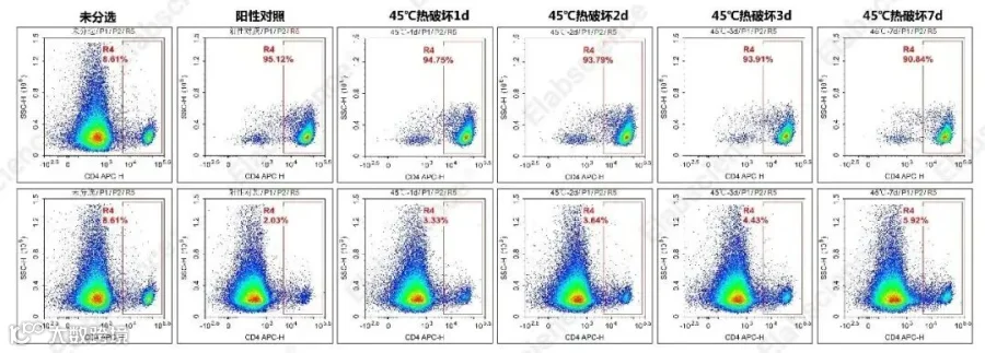 EasySort™ Mouse CD4 Nanobeads的45℃高热破坏稳定性测试