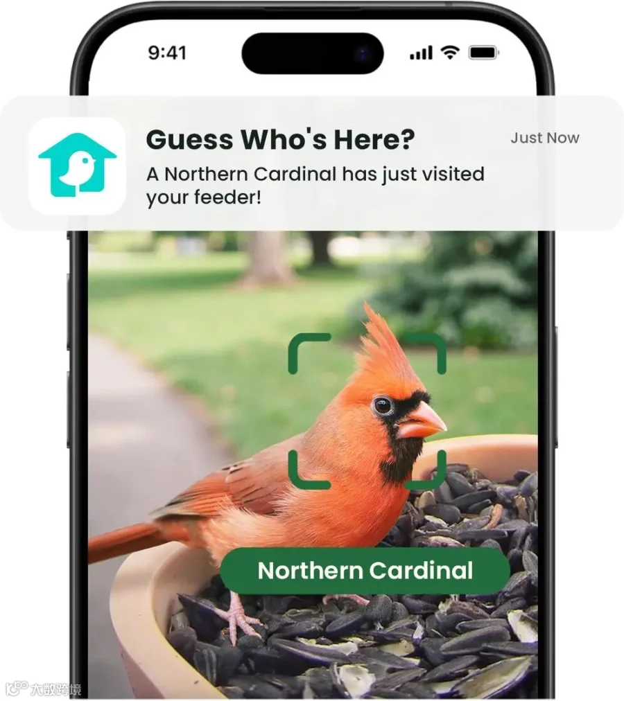 Birdfy Feeder Rookie - Beginner-Friendly Smart Bird Feeder
 – birdfyuk