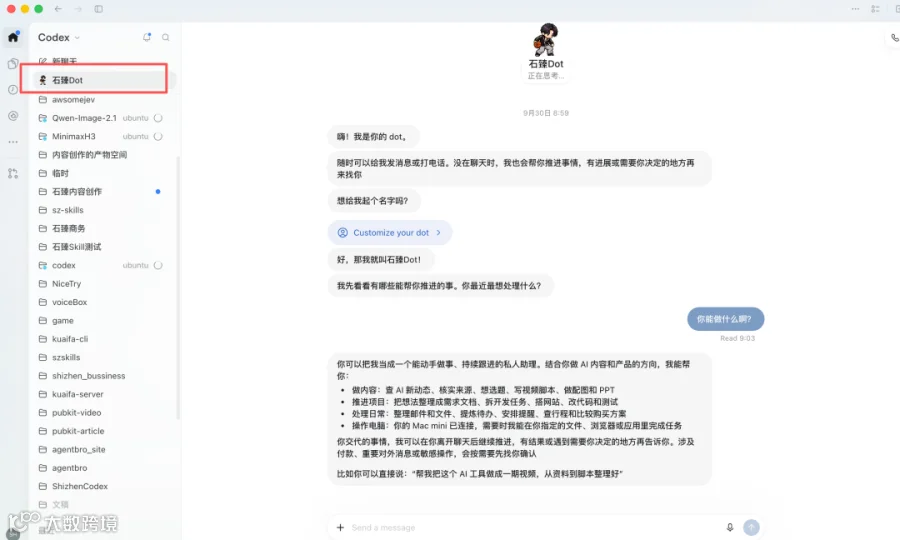 我这边的 Dot 界面，已命名为“石臻Dot”