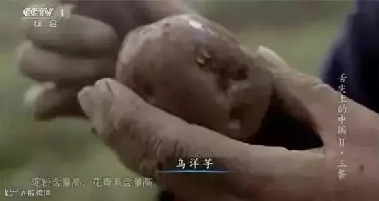 微信图片_20190826225013.jpg