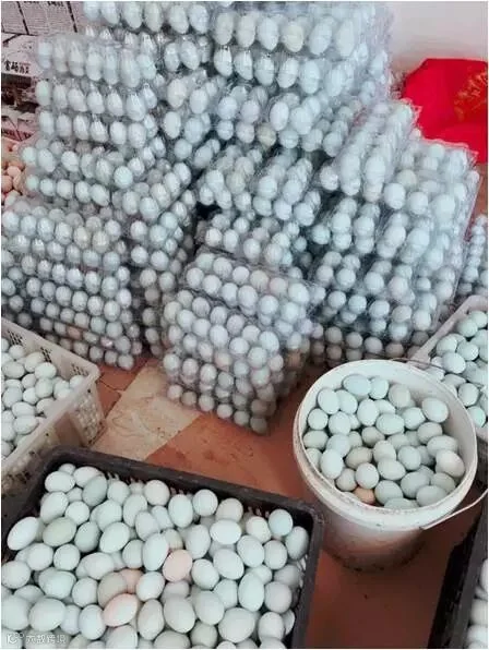 1521808712535740.jpg