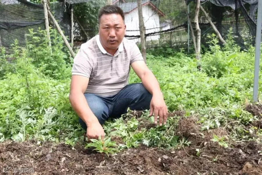 微信图片_20190618221715.jpg